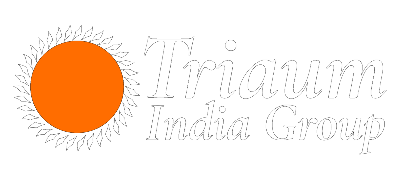 Triaum India Infotech